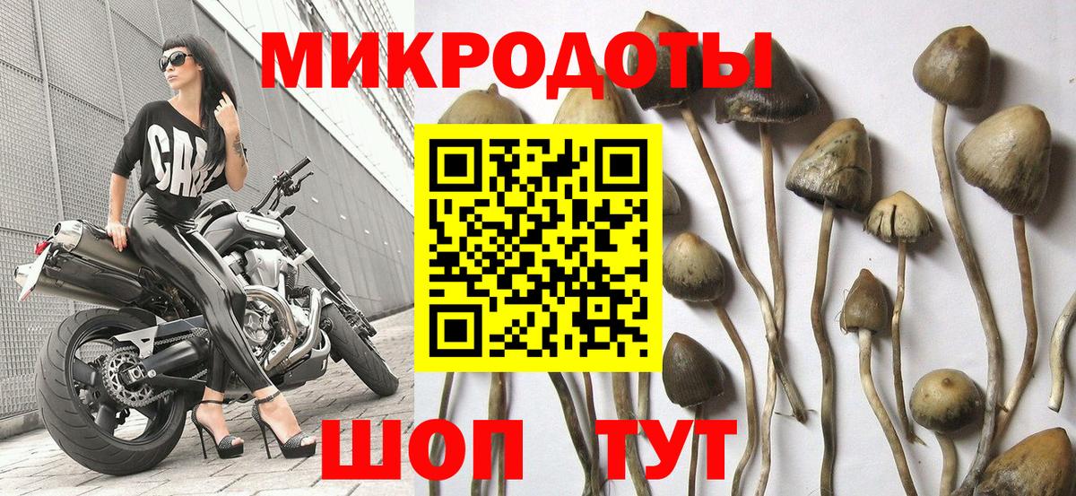 Янаул  Псилоцибиновые грибы Cubensis  Галлюциногенные грибы мицелий  даркнет сайт  Вход с VPN 